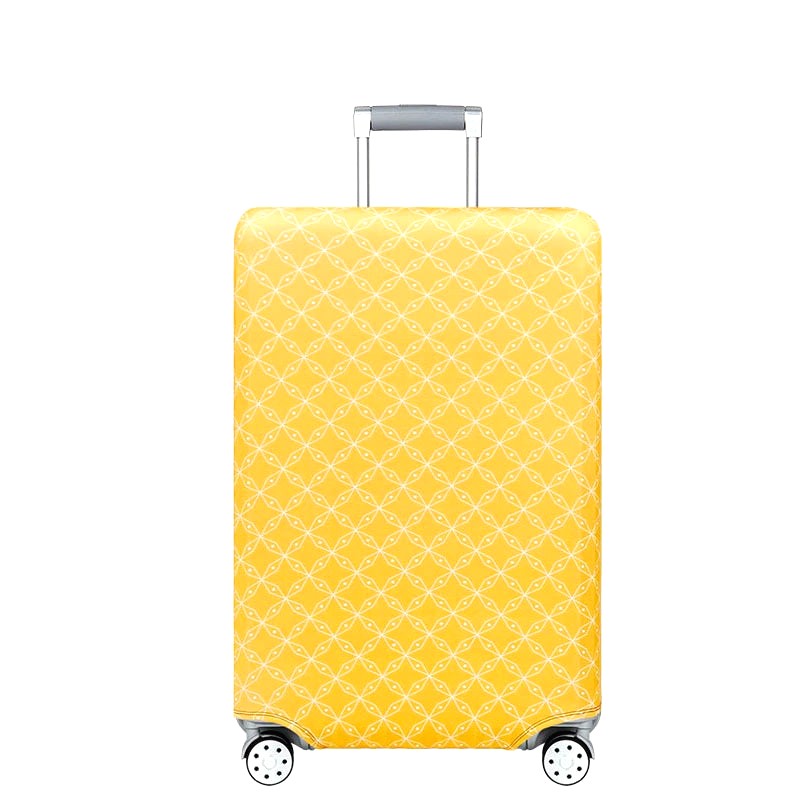Housse Pour Valise Cabine Delsey 3